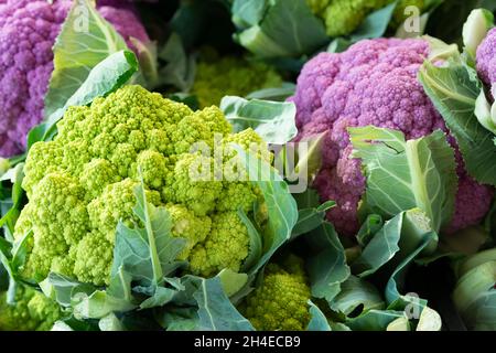 Romanesco and Pink Cauliflower Stock Photo
