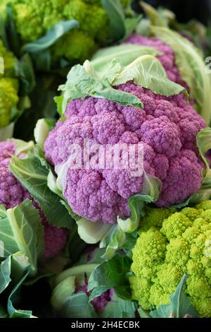 Pink Cauliflower Stock Photo