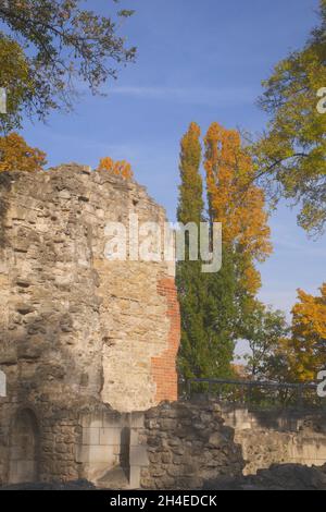 The ruined 13th century Dominican convent, in the autumn, Margitsziget, Margaret Island, Budapest, Hungary Stock Photo