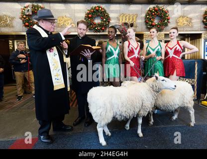 US Cardinal Timothy Cardinal Dolan (L), the Archbishop of New York, stands with members of the Rockettes while blessing the animals appearing in the annual 'Christmas Spectacular Starring the Radio City Rockettes' at Radio City Music Hall in New York, New York, USA, 02 November 2021. The show, which runs from 05 November 2021 until 02 January 2022, features the animals in a live nativity scene, which has been a feature of the Christmas show at Radio City since it began in 1933, though the show was cancelled in 2020 due to the coronavirus pandemic. Stock Photo