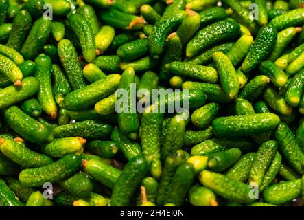 Pile of green gherkins cornichon Stock Photo