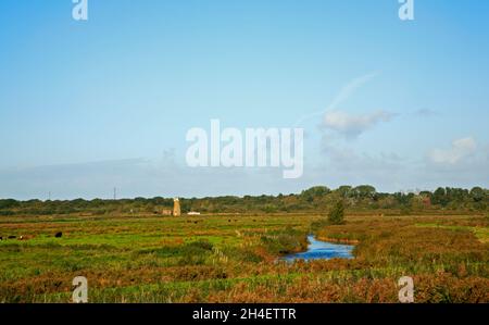 A view across Horning Marshes towards Neave's Drainage Mill west of Ludham Bridge on the Norfolk Broads at Horning, Norfolk, England, United Kingdom. Stock Photo