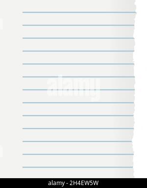 Lined paper sheet. Blank page ripped from notebook Stock Vector