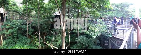 A bird park in Singapore, very impressive and has a large collection of birds from all over the world (April 2014) Stock Photo