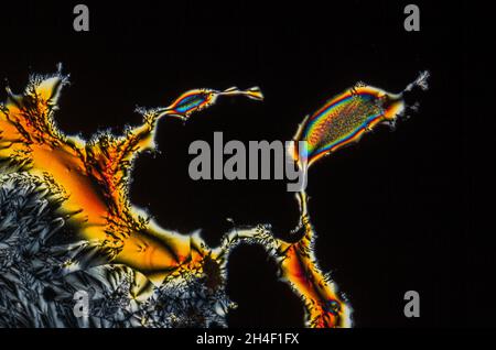 Extreme macro photograph of Vitamin C crystals forming abstract modern art patterns, when illuminated with polarized light, under a microscope Stock Photo