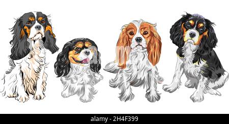 SET of cute dogs Cavalier King Charles Spaniel breed Stock Vector