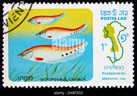 LAOS - CIRCA 1983: a stamp printed in Laos shows notopterus chitala, Mekong river fish, circa 1983 Stock Photo