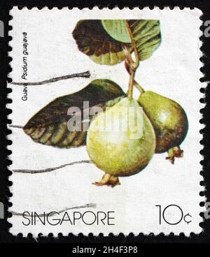 SINGAPORE - CIRCA 1986: a stamp printed in Singapore shows common guajava (psidium guajava), is an evergreen shrub or small tree with edible fruits, c Stock Photo