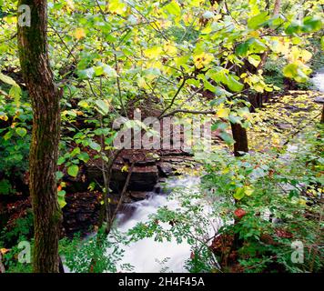 Indian Run Falls Park in Autumn, Dublin, Ohio Stock Photo