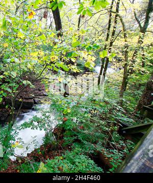 Indian Run Falls Park in Autumn, Dublin, Ohio Stock Photo