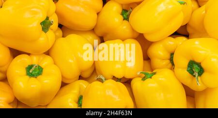 A lot of yellow pepper, texture background. Pile of fresh ripe yellow bell pepper pattern, high quality Stock Photo