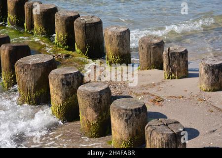 breakwaters, groynes and beach at the Baltic Sea - Fischland, Darß, Zingst, Germany Stock Photo