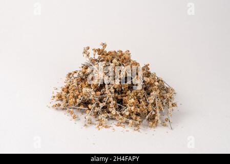 Heap of dried wormwood herb isolated on white background. Stock Photo