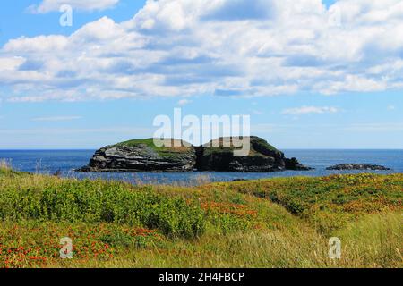 A narrow footpath leading to the sea, worn in the grass on a hilltop. View of a small island in the bay, and the Atlantic Ocean to the horizon. Stock Photo
