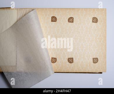 opened old vintage photo album with flimsy Stock Photo