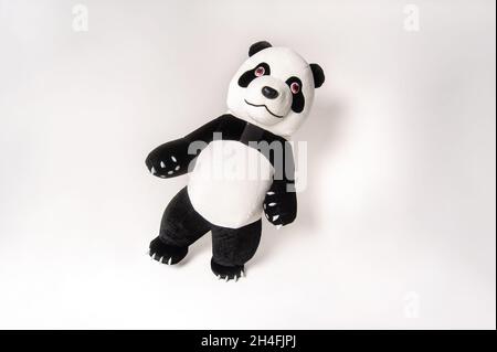 Toy big panda with a man inside on a white background. Stock Photo