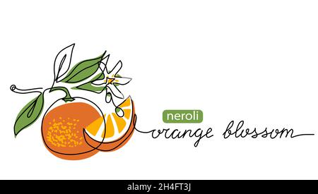 Orange blossom, neroli vector illustration. One continuous line art drawing of citrus flowers with lettering orange blossom Stock Vector