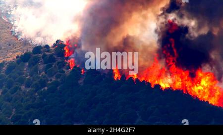 drone aerial view of a burning forest with trees, lots of smoke and burnt grasses in a fire caused by global warming and climate change. Stock Photo