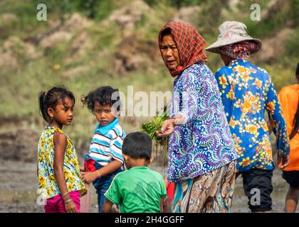 An Giang Sep 21, 2019. Children are playing rice field in the traditional Cambodian field festival Stock Photo