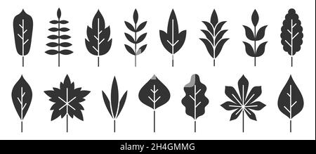 Leaf floral branch black flat set. Plant tree bush. Holiday invitation postcard decorative element. Vintage graphic icon organic wild natural pattern. Eco print wedding design isolated on white Stock Vector