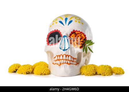 Painted human skull for Mexico's Day of the Dead (El Dia de Muertos) with flowers on white background Stock Photo