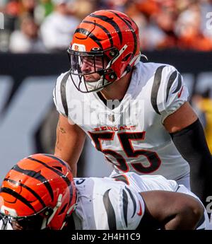 Cincinnati Bengals linebacker Logan Wilson (55) celebrates a