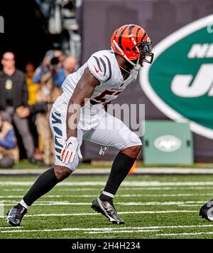 Cincinnati Bengals linebacker Germaine Pratt (57) and defensive end Cameron  Sample (96) react during an NFL wild-card playoff football game against the  Las Vegas Raiders, Saturday, Jan. 15, 2022, in Cincinnati. (AP