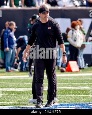 Cincinnati Bengals head coach Zac Taylor works his team along the sidelines  in an NFL football game against the Pittsburgh Steelers Sunday, Sept. 26,  2021, in Pittsburgh. (AP Photo/Don Wright Stock Photo 