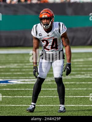 Cincinnati Bengals safety Vonn Bell (24) runs for the play during an NFL  football game against the Pittsburgh Steelers, Sunday, Nov. 28, 2021, in  Cincinnati. (AP Photo/Emilee Chinn Stock Photo - Alamy