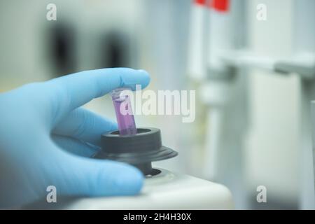 Hand of a medical laboratory assistant holding a reaction vessel in the centrifuge, Essen, North Rhine-Westphalia, Germany Stock Photo