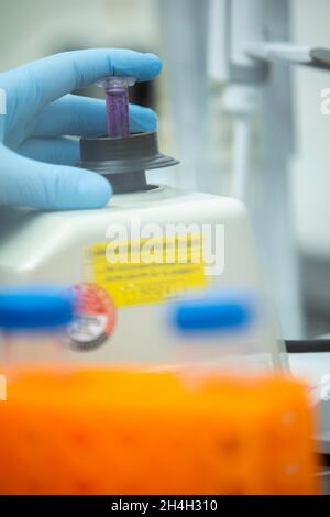 Hand of a medical laboratory assistant holding a reaction vessel in the centrifuge, Essen, North Rhine-Westphalia, Germany Stock Photo