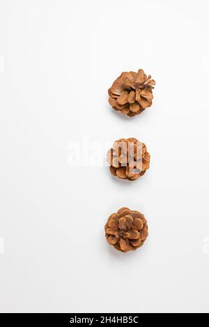 Christmas pine cones on white paper border composition. Christmas, winter, new year concept. Flat lay, top view Stock Photo