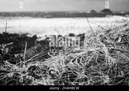 Closeup of fishing line and rope in pile at Cape Cornwall, UK, black and white Stock Photo