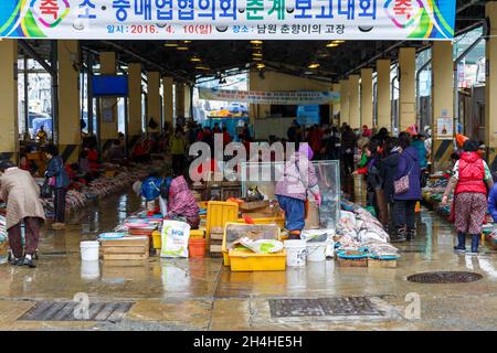 Busan, South Korea - March 25, 2016: Business street seafood. The trading market sea delicacies. Stock Photo