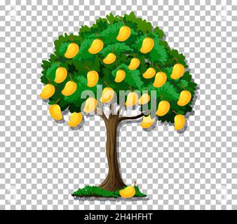 Mango tree on transparent background illustration Stock Vector