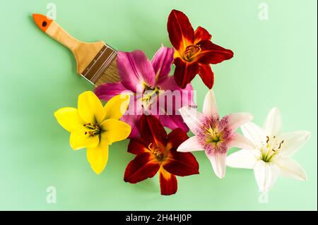 creative flower arrangement. multi-colored heads of garden lilies with a molar brush. the concept of painting without the pungent smell of paints Stock Photo