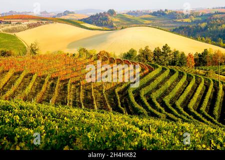 The picturesque Vinyard Landscape of Piemonte Langhe-Roero and Monferrato, UNESCO World Heritage, Italy. Stock Photo