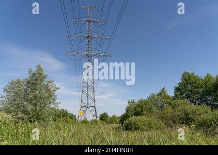 High-voltage electrical insulator electric line against the blue sky. In a natural landscape with grass and trees. Stock Photo