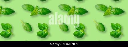 Seamless pattern of fresh green basil leaves isolated on green background. Top view. Flat lay Stock Photo