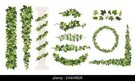 Ivy vines and wreaths, and a greek antique column entwined with ivy, elements isolated on white background. Vector illustration in flat cartoon style Stock Vector