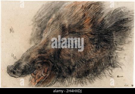 Jean Baptiste Siméon Chardin, A Boar's Head, drawing, circa 1725 Stock Photo