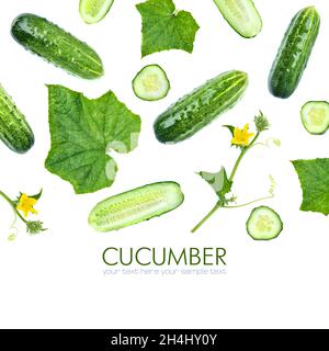 Cucumber set isolated on white background with copy space for your text. Cucumber slices, leaves, flowers. Top view. Flat lay pattern Stock Photo