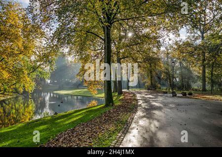 Sun shining through the trees and casting shadow patterns on paths, lawn and pond on a beautiful autumn morning in The Park in Rotterdam, The Netherla Stock Photo