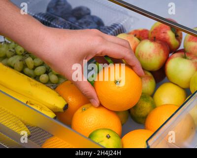 Woman taking orange from fridge drawer full of fruits. Close up. Stock Photo
