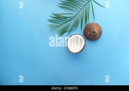 slice of fresh coconut on a blue background top view  Stock Photo