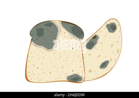 The mold on the loaf and toast bread, set isolated on white background Stock Vector