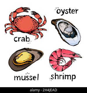 Seafood vector illustrations set, hand drawn sea food sketch collection - crab, oyster, mussel, shrimp menu elements Stock Vector