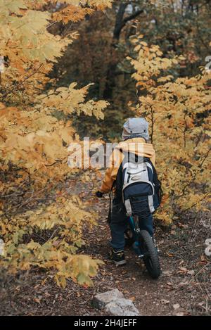 Boy on a balance bike ride in the autumn forest Stock Photo