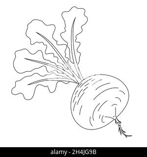 Turnip, farm root vegetable tops, black and white hand drawn doodle vector illustration Stock Vector