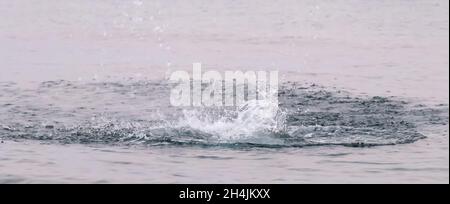 big water splashing and the waves in the sea, ocean foam Stock Photo